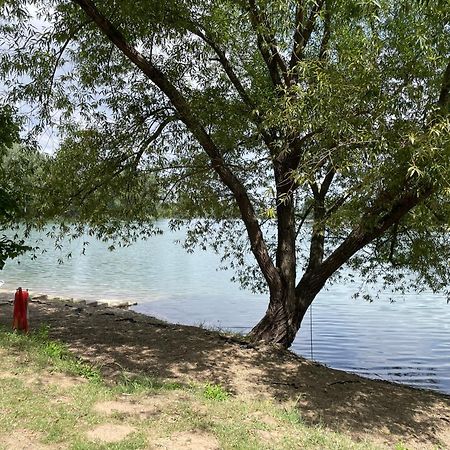 בלה צרקבה Camping Oaza מראה חיצוני תמונה
