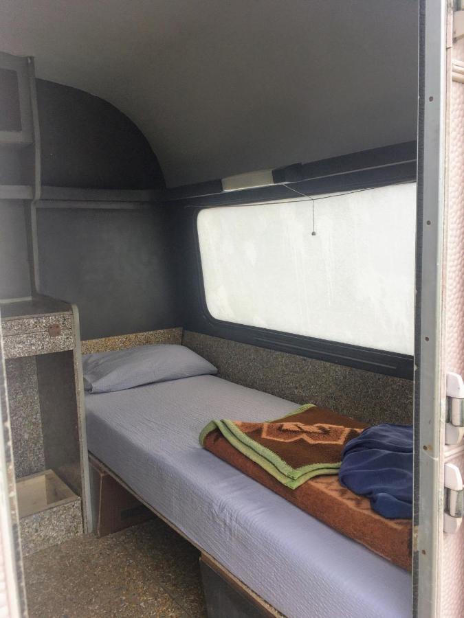 בלה צרקבה Camping Oaza מראה חיצוני תמונה