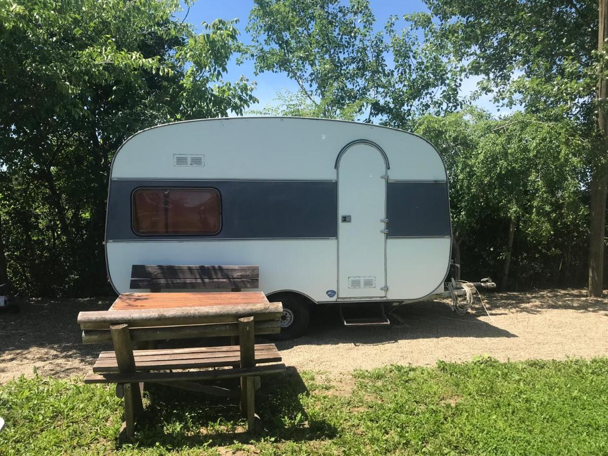 בלה צרקבה Camping Oaza מראה חיצוני תמונה