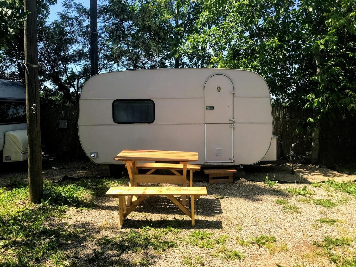 בלה צרקבה Camping Oaza מראה חיצוני תמונה